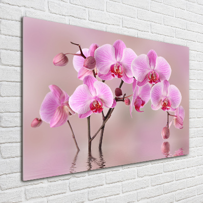Foto in plexiglas Roze orchidee