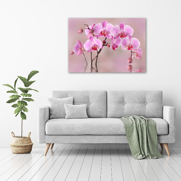 Foto in plexiglas Roze orchidee