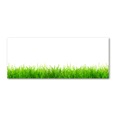 Foto op plexiglas Gras