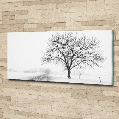 Foto op plexiglas Boom in de winter