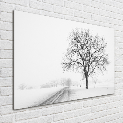 Foto op plexiglas Boom in de winter