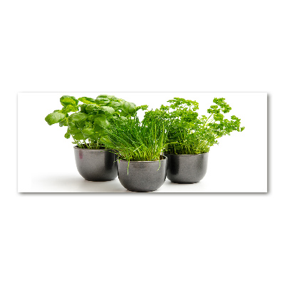 Schilderij op acrylglas Kruiden in potten