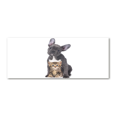 Plexiglas foto Hond en kat