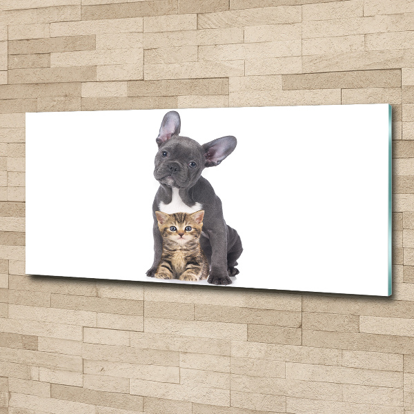 Plexiglas foto Hond en kat