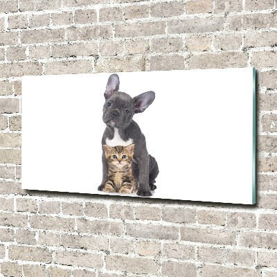Plexiglas foto Hond en kat