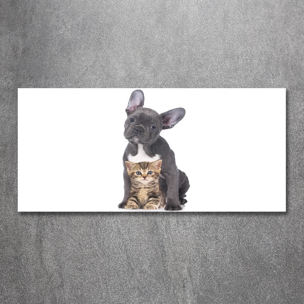 Plexiglas foto Hond en kat
