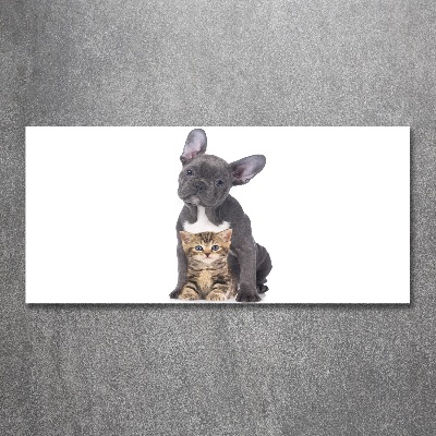 Plexiglas foto Hond en kat