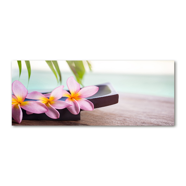 Foto plexiglas Plumeria