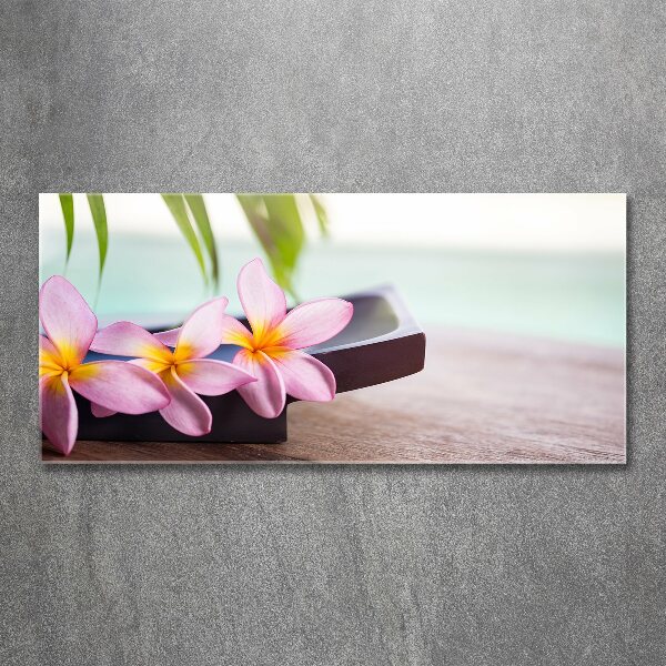 Foto plexiglas Plumeria