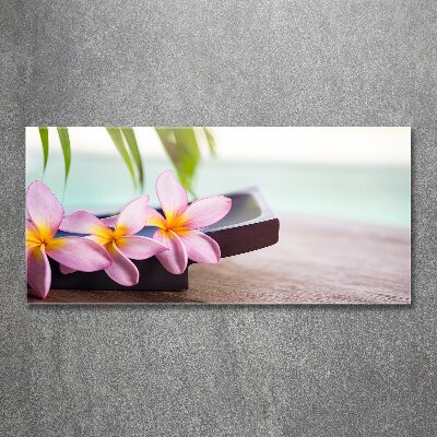 Foto plexiglas Plumeria