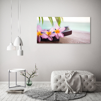 Foto plexiglas Plumeria