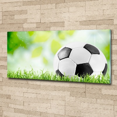 Foto plexiglas Voetbal
