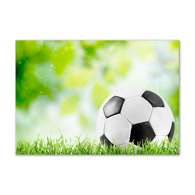 Foto plexiglas Voetbal