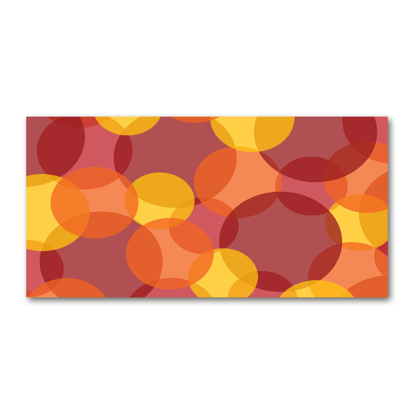 Schilderij op acrylglas Kleurrijke cirkels