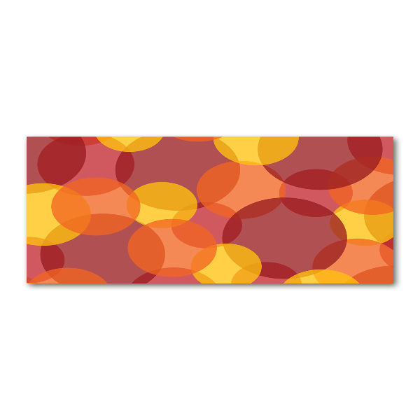 Schilderij op acrylglas Kleurrijke cirkels