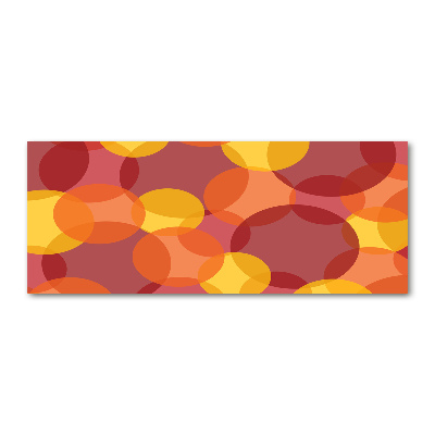 Schilderij op acrylglas Kleurrijke cirkels