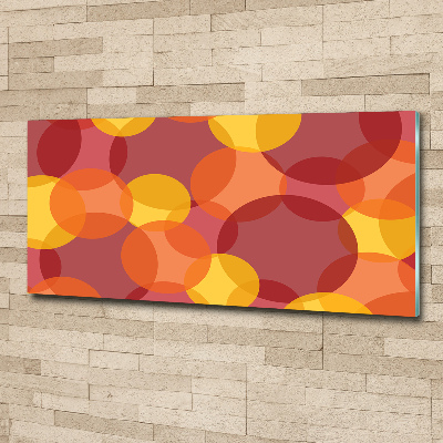 Schilderij op acrylglas Kleurrijke cirkels