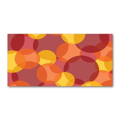 Schilderij op acrylglas Kleurrijke cirkels