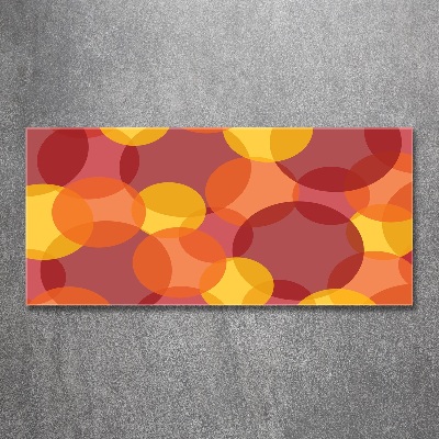 Schilderij op acrylglas Kleurrijke cirkels