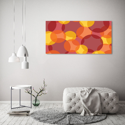 Schilderij op acrylglas Kleurrijke cirkels