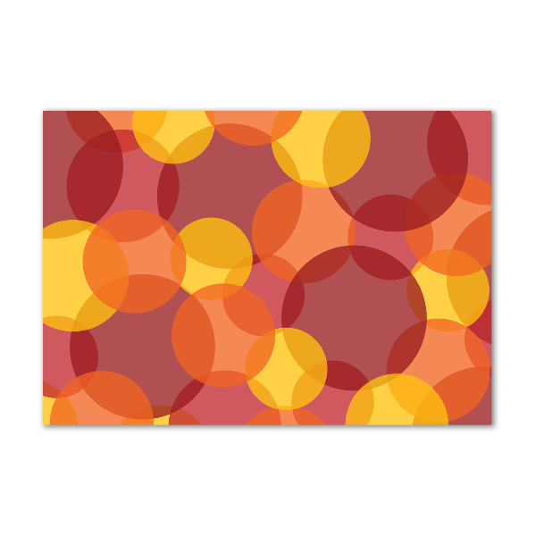 Schilderij op acrylglas Kleurrijke cirkels