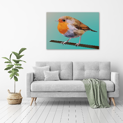 Schilderij op acrylglas Roodborstje