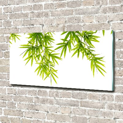 Schilderij op acrylglas Bamboe bladeren