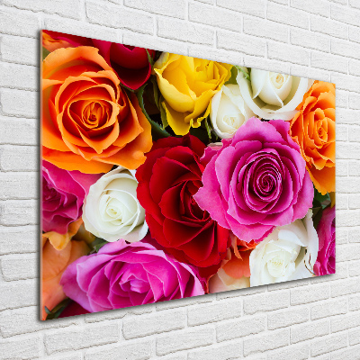 Plexiglas schilderij Kleurrijke rozen