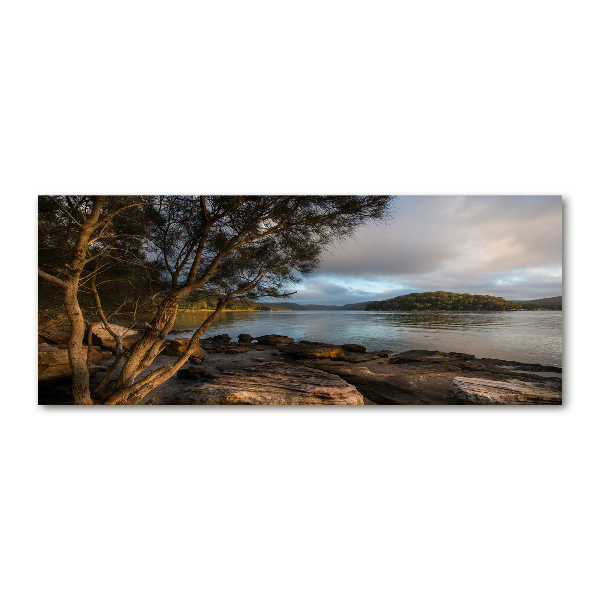 Foto plexiglas Een boom aan de rivier