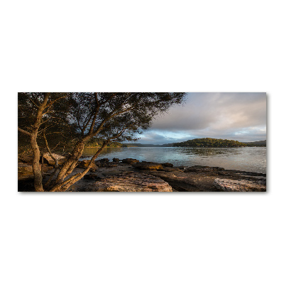 Foto plexiglas Een boom aan de rivier