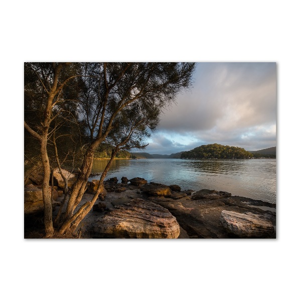 Foto plexiglas Een boom aan de rivier