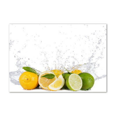 Plexiglas schilderij Citrus en water