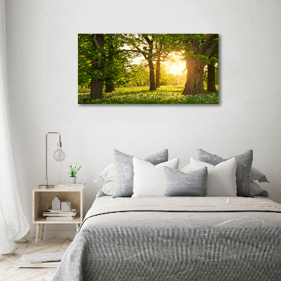 Foto in plexiglas Bomen in het park