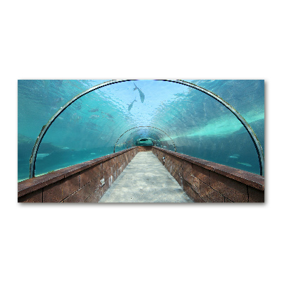 Foto plexiglas Aquariumtunnel