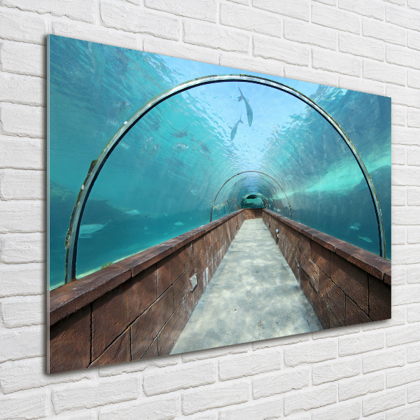 Foto plexiglas Aquariumtunnel