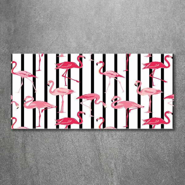 Plexiglas foto Gestreepte flamingo's