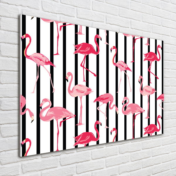 Plexiglas foto Gestreepte flamingo's