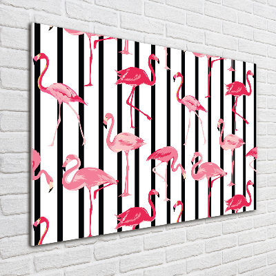 Plexiglas foto Gestreepte flamingo's