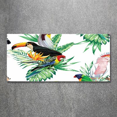 Foto plexiglas Tropische vogels