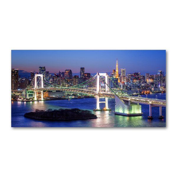 Plexiglas schilderij Tokyo-brug