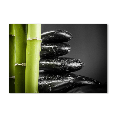 Schilderij op acrylglas Bamboe