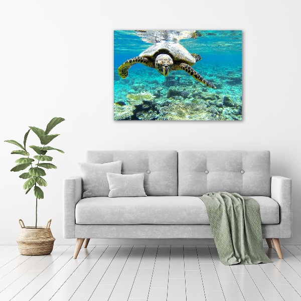 Plexiglas schilderij Zeeschildpad