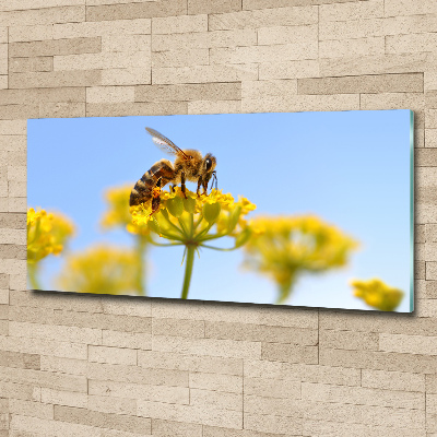 Foto in plexiglas Een bij op een bloem