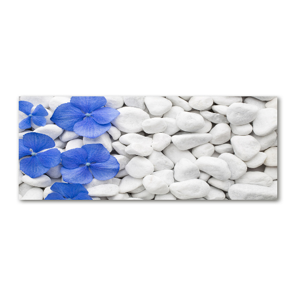 Schilderij op acrylglas Hortensia