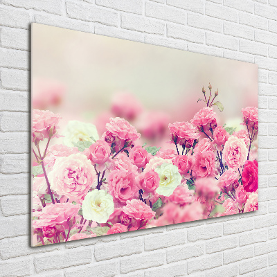 Plexiglas schilderij Wilde rozenbloemen
