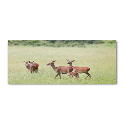 Plexiglas foto Ree met jongen