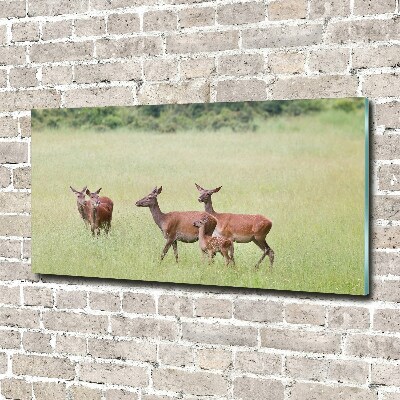 Plexiglas foto Ree met jongen