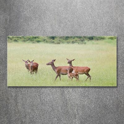Plexiglas foto Ree met jongen