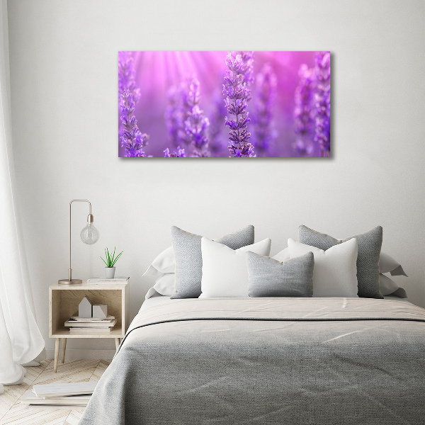 Foto plexiglas Lavendel