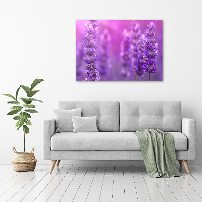 Foto plexiglas Lavendel
